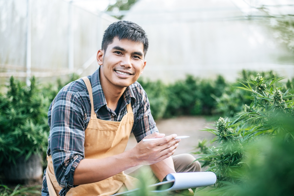 How should cannabis companies screen candidates?